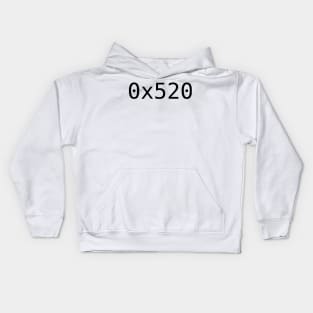 1312 (Hexadecimal) Kids Hoodie